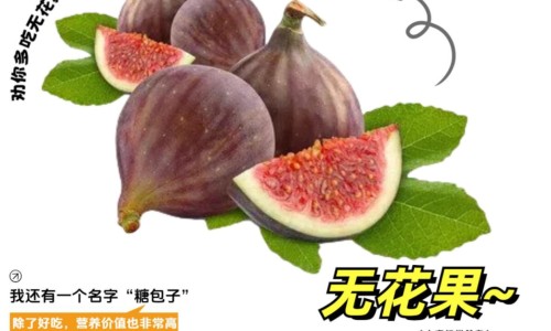 蚯蚓韭菜的功效与作用及禁忌-蚯蚓韭菜的功效与作用网 - 网站提供韭菜地蚯蚓煮水的功效小常识、韭菜地的蚯蚓和韭菜根能治什么