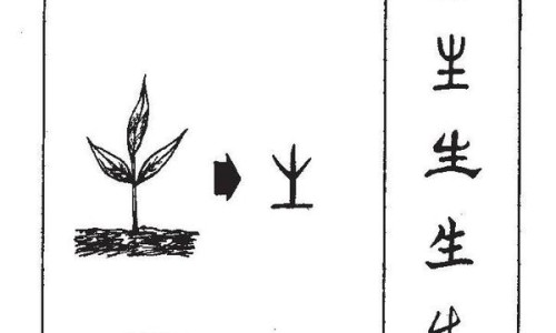 蚯蚓韭菜的功效与作用及禁忌-蚯蚓韭菜的功效与作用网 - 网站提供韭菜地蚯蚓煮水的功效小常识、韭菜地的蚯蚓和韭菜根能治什么